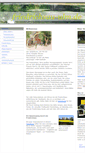 Mobile Screenshot of friedrichsau-ulm.de